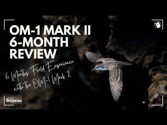 OM 1 Mark II - 6 Month Review (OM System Ambassador)