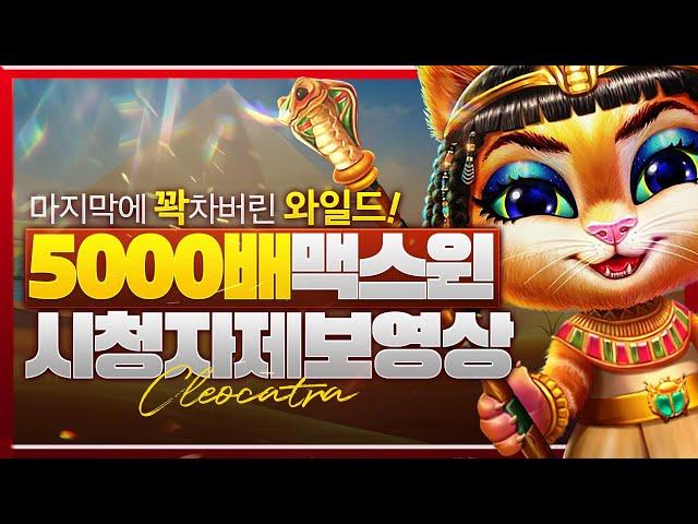 [슬롯][슬롯추천] ‍ 프라그마틱 슬롯 클레오캣트라 - 5000배 맥스윈 시청자 제보영상!‍[프라그마틱]