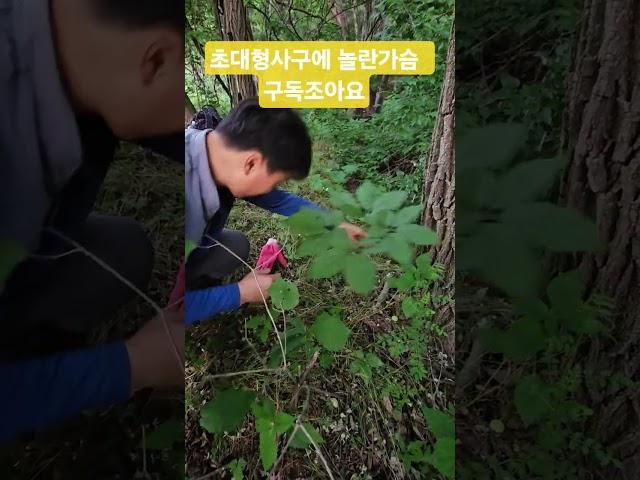 초대형 사구에 놀란  가슴