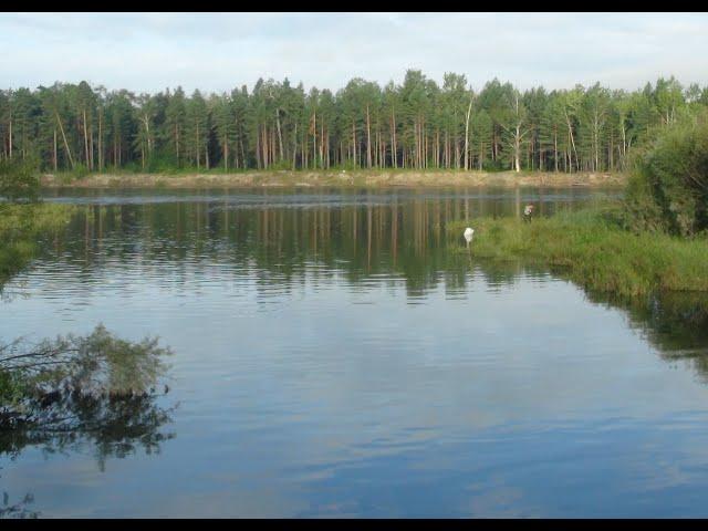 Жизнь в Сибири и наше хозяйство.