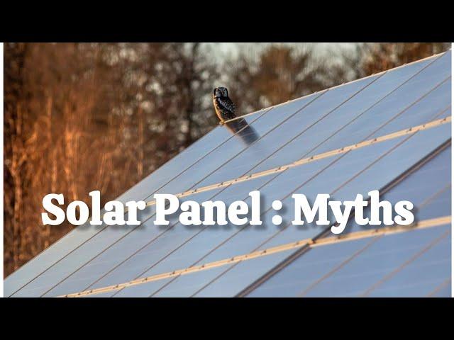 Debunking Common Myths About the Dangers of Solar Panels