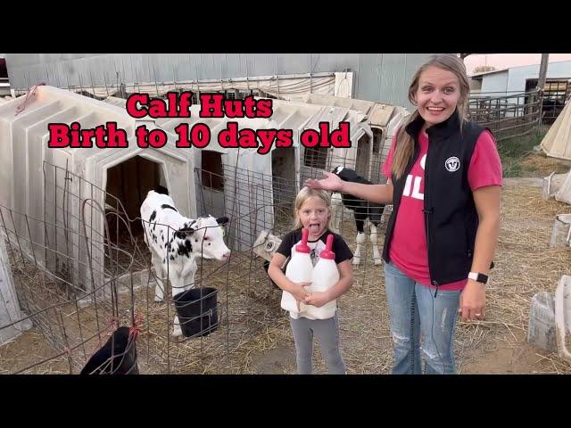 Rottinghaus Holsteins Farm Tour