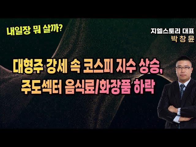 [내일장 뭐 살까?] 대형주 강세 속 코스피 지수 상승, 주도섹터 음식료/화장품 하락 | 박창윤 대표 | 주식 | 주가 | 투자 |