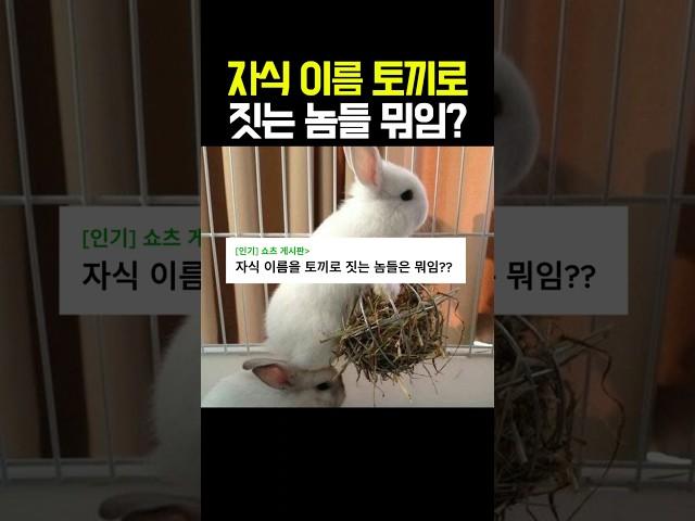자식 이름을 토끼로 짓는 놈들 뭐임??