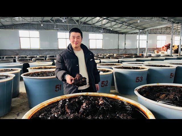 A young man in Shandong sells lion head pickled vegetable. It costs 68 yuan per kilogram and he say