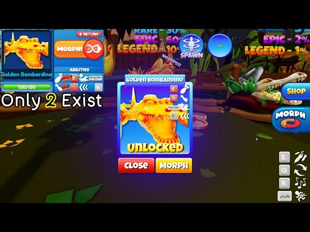 GOLDEN BOMBARDINO CROCODILO SHOWCASE in Morph World