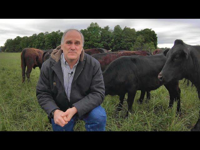 Managing a Small Cattle Herd