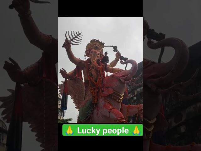 lucky people in world  // beeg ganpati visarjan 2023 // ganesh immersion