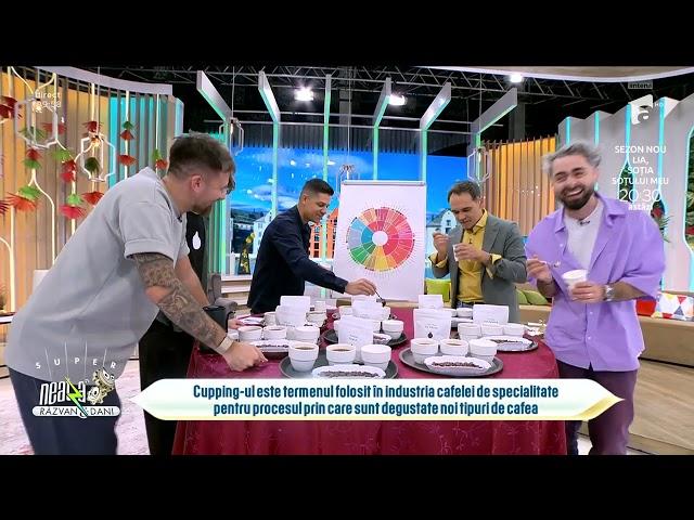 Cum să-ți alegi cea mai bună cafea | Sfaturi de la specialiști