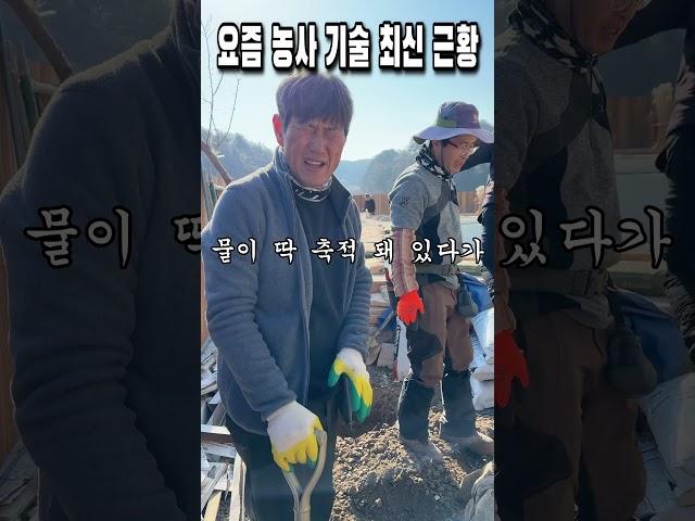 물만 주면 200배 커진다는 최근 농사 기술 근황;;