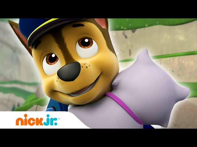 Psi Patrol | Pieski potrzebują twojej pomocy! — część 1 | Nick Jr.