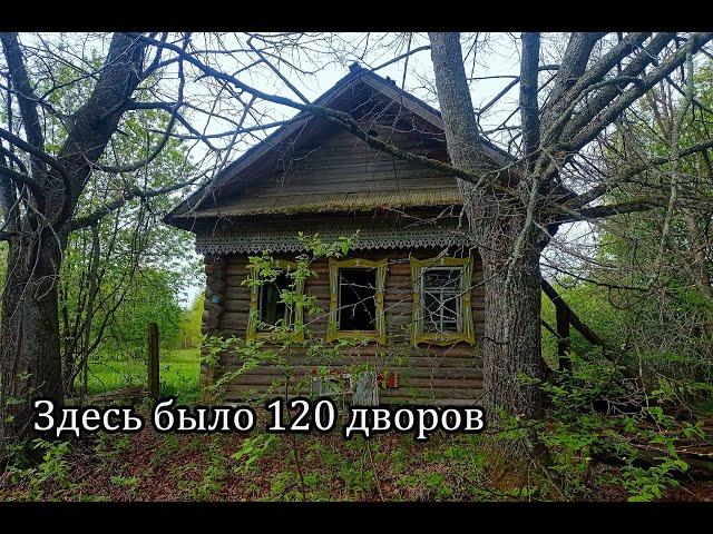 Заброшенная деревня ПЕРЖА, Кировская область