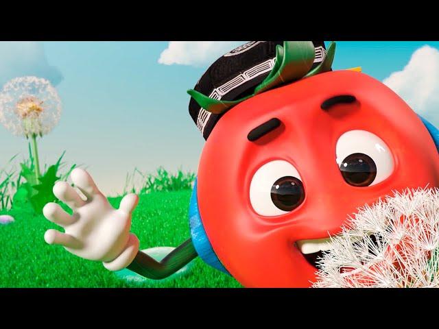 TOMATO DOPPI  Camping And More Craziest Adventures  FOR KIDS