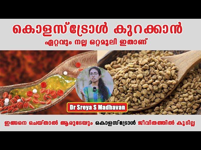 ഇങ്ങനെ ചെയ്താൽ ആരുടേയും കൊളസ്ട്രോൾ ജീവിതത്തിൽ കൂടില്ല /Baiju's Vlogs