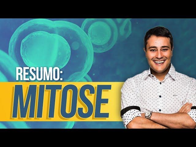 Ciclo Celular: Mitose | RESUMÃO | Prof. Paulo Jubilut