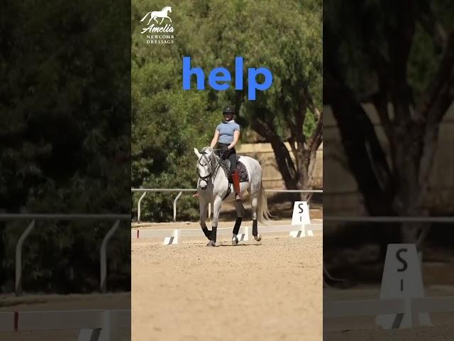 Canter Timing