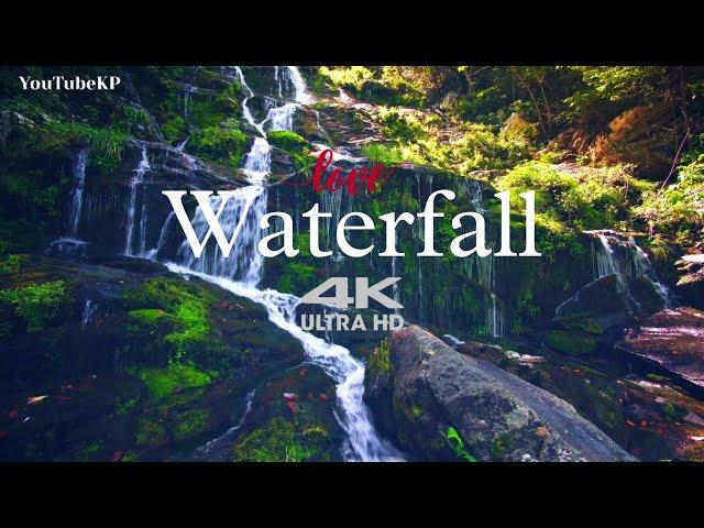 Waterfall in 4k - River Stream Trees | Waterfall River Forest Trees Falls | @TheYouTubeKP| HD Video