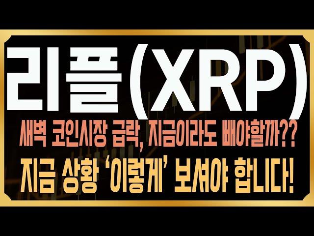 [리플 XRP 코인전망] 긴급) 새벽 알트코인 빅쇼트, 결국 지금 상황 '이렇게' 보셔야 합니다! #엑스알피