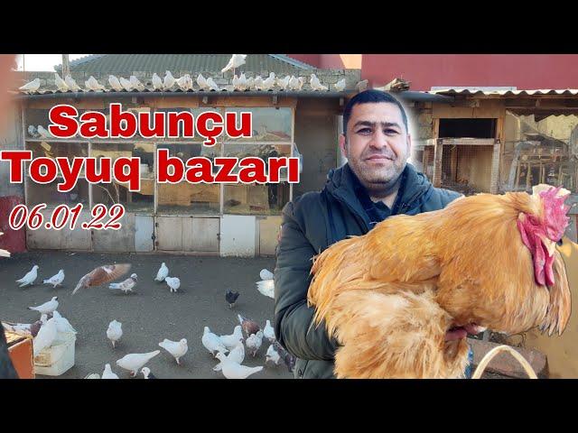 Sabunçu Toyuq bazarı 6 fevral 2022 @mubarizemintv2271 #sabuncutoyuqbazari #sabuncuqusbazari