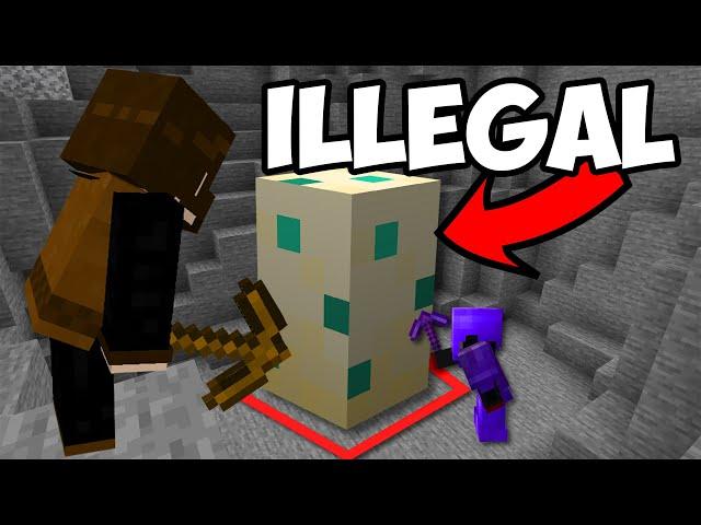 This Minecraft Turtle Egg Is Illegal... Here's Why