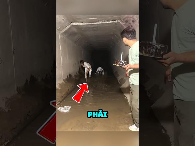 ️Đi Sinh Nhật Vào Ban Đêm Gặp Sinh Vật Này Hãy Chạy Ngay #pets #shorts