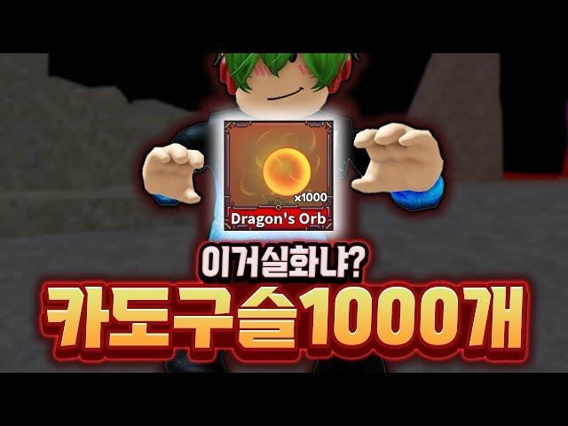 카이도우 구슬 1000개? 실화? 네 실화입니다! 바로 잡으러 가시죠? [로블록스 킹피스 #36]