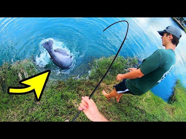 We CAUGHT A ROD with a MONSTER CATFISH ON IT! (UNREAL)