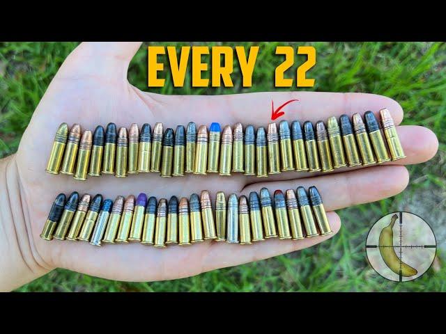 I Found The Most Insane 22 LR Bullet Available