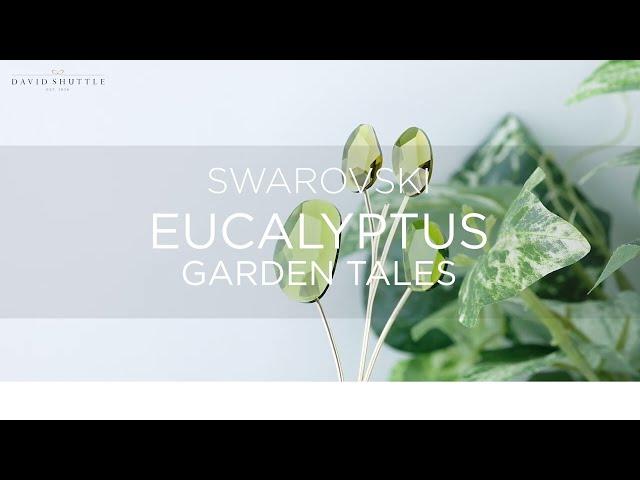 Swarovski Garden Tales Eucalyptus