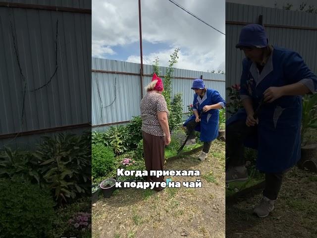 Вот и ходи к ней на чай #деревня #лето #садоводничество #дача #частныедома