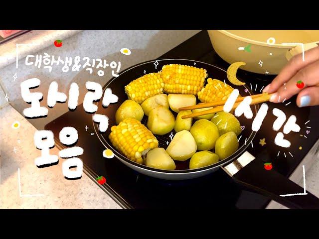 식비절약️자취하는 20대 자매의 도시락싸기 1시간 모음