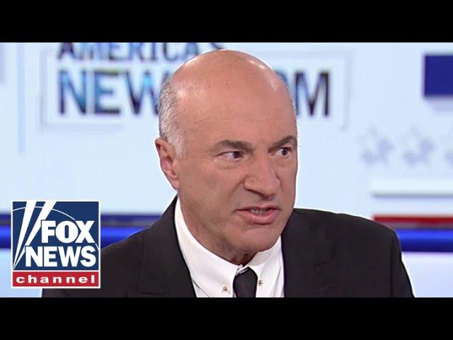 Kevin O'Leary: This is what Democrats missed in 2024