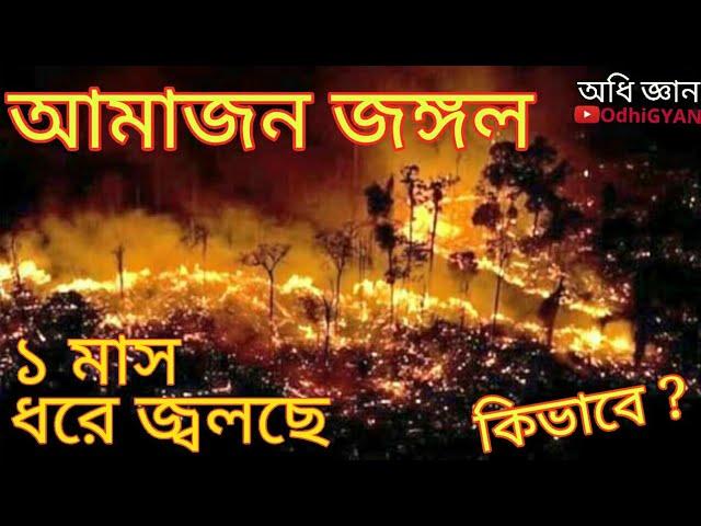 কি কারণে জ্বলছে আমাজন জঙ্গল | Amazon Forest Fire | OdhiGYAN Science