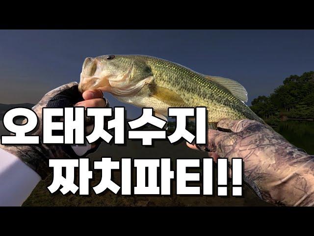 [Bass fishing] I went to Otae Reservoir, which is good to walk