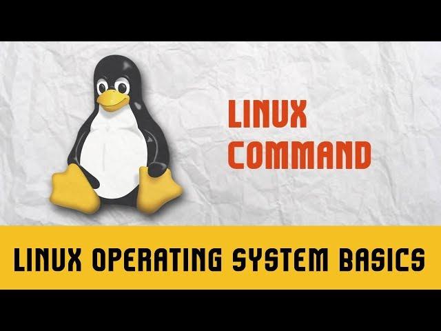 Linux Operating System Basics | Linux Command