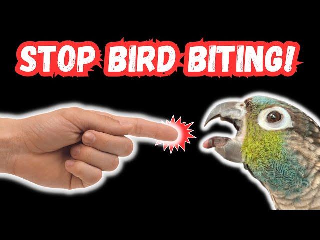 BIRD BITING - How To Stop A Parrot Bite | TheParrotTeacher