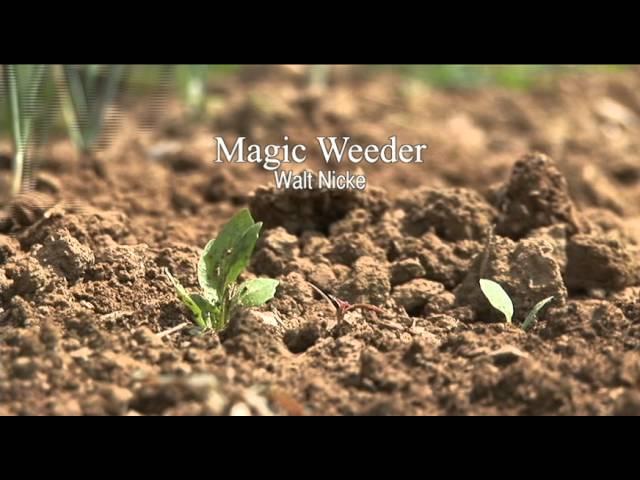 Spring-Tine Cultivator / Magic Weeder