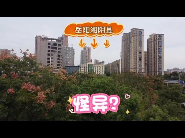 探岳阳湘阴县，名字为啥“怪异”？因“左宗棠”闻名全国