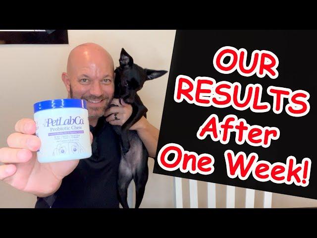 PetLab Co Probiotic Chews For Dogs RESULTS!