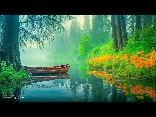 Relaxing Music Healing Stress, Anxiety and Depressive States, Heal Mind, Body and Soul Calming Music