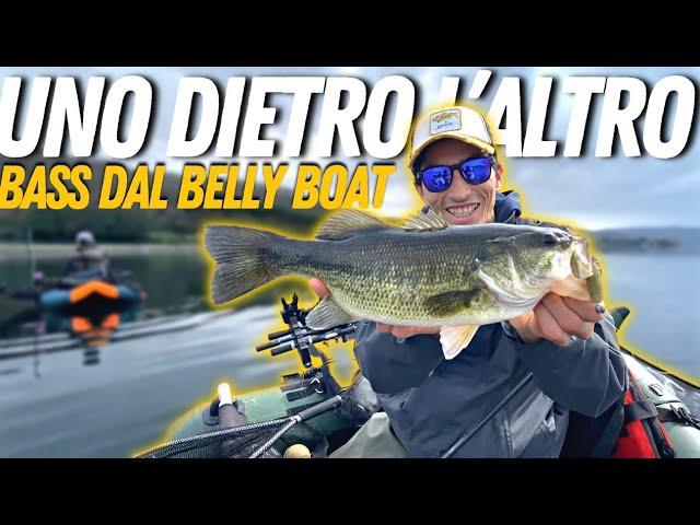 UNO DIETRO L’ALTRO! Bass Fishing dal Belly Boat (4k)