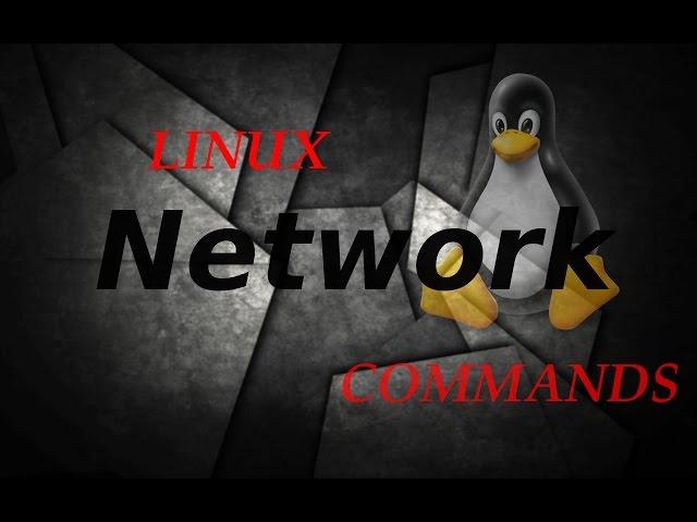 6 Basic & Useful Linux Networking Commands