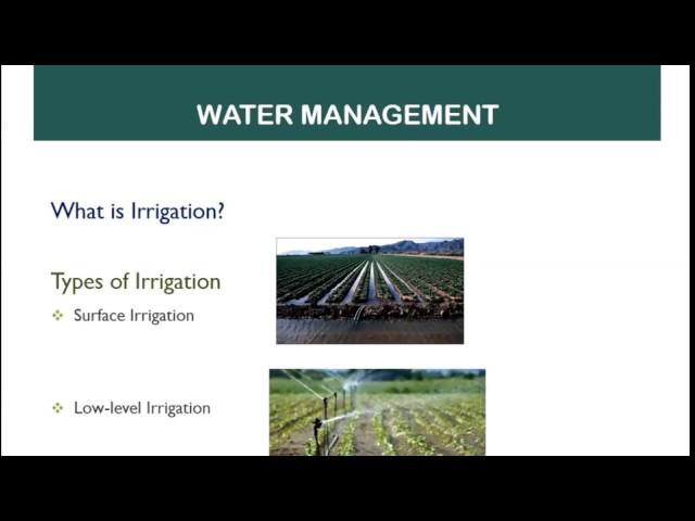 Irrigation Basics