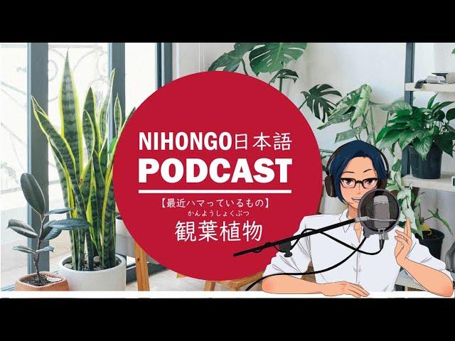 最近ハマっているコト：「観葉植物🪴」 (Japanese Radio for Listening Practice)