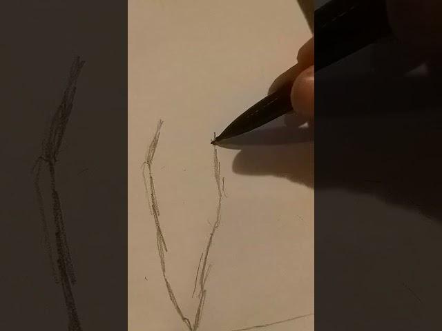 How to draw a tornado