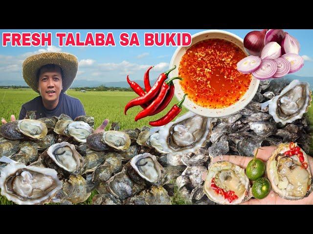 Fresh Talaba bagong kuha sa Dagat...Mukbang ng buong Pamilya First-time makatikim ng inay at itay