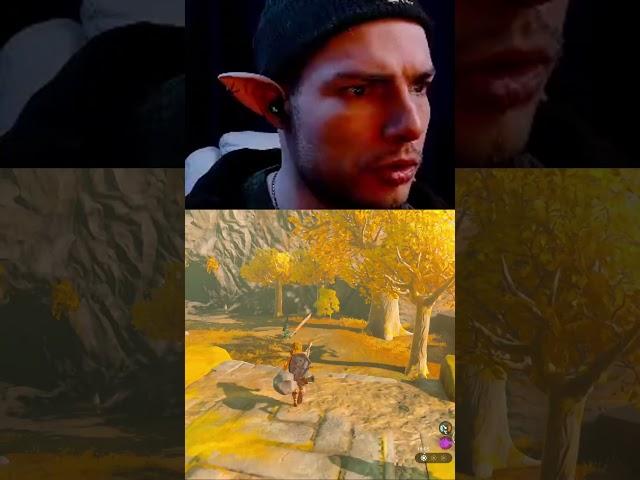 Дрын #twitch #твич #стрим #zelda #грим #memes #grimmup #grimmgoes #memes
