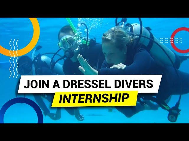 Dressel Divers Internship in the Caribbean