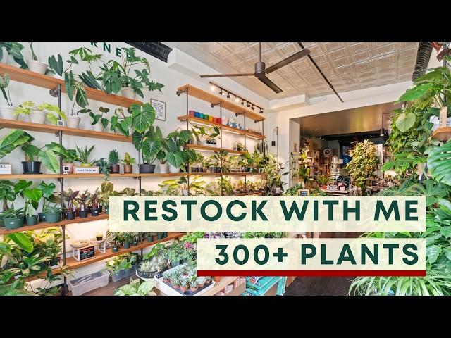 Restock with me : Weekly restock of over 300 plants