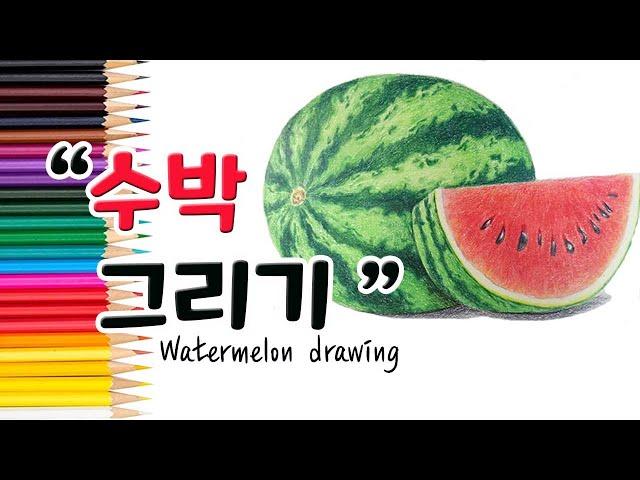 여름 대표 과일 '수박'을 그리는 방법 ㅣ How to draw a watermelon step by step